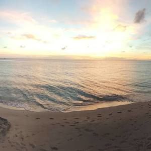 Meet your Posher, Tanecia